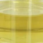 Stabilizator modyfikatora smaru olejowego Pentaerythrityl Oleate PETO Liquid CAS 19321-40-5