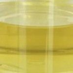 Stabilizator modyfikatora smaru olejowego Pentaerythrityl Oleate PETO Liquid CAS 19321-40-5